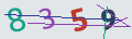 verifycode